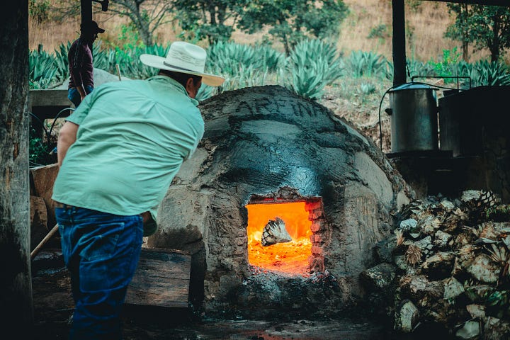 Agave plants being harvested and roasted. Photos by Mary West and Rudy Prather, Unsplash.