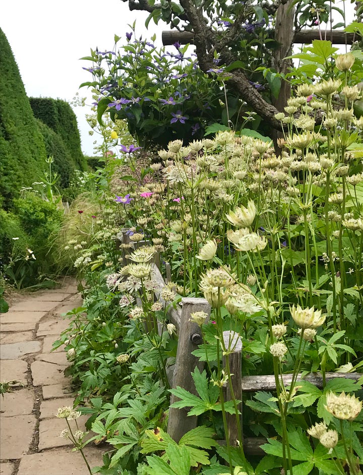 The High Garden at Great Dixter. Photos by Julie Witmer, June 2017