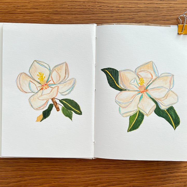 Watercolour magnolias sketches on sketchbook pages