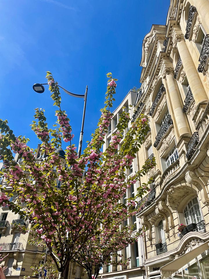 Cherry blossom around Paris