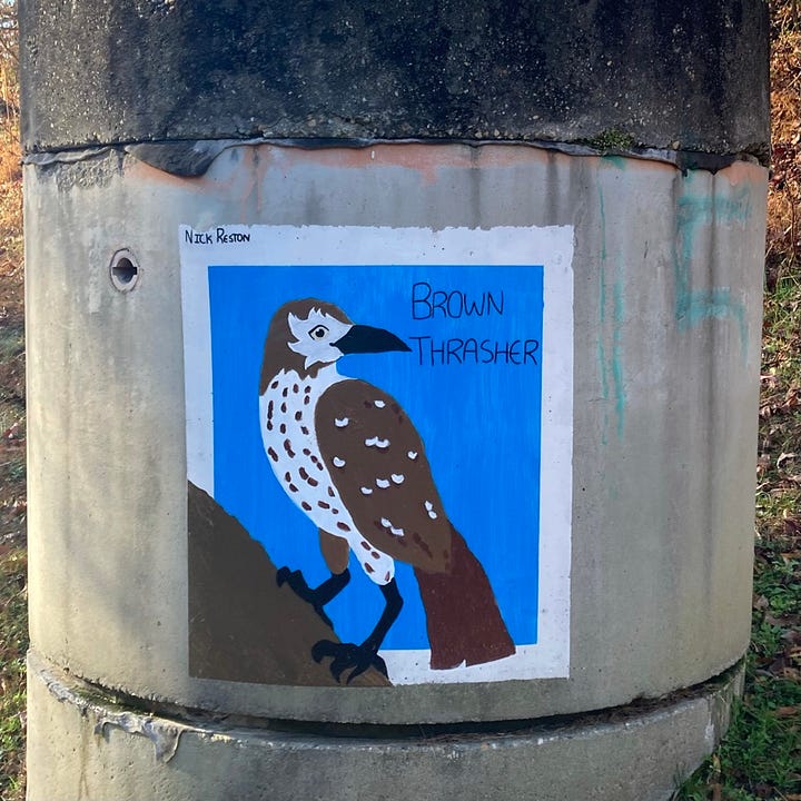 a brown thrasher painted on a concrete sewer outcrop, and a frost-tinged leaf on a weathered board walk.