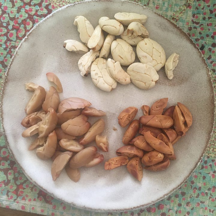 Plate with three groups of jaguar cacao seeds