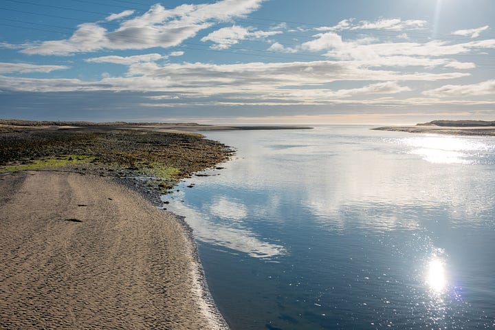 Heron fishing at dusk and dawn reflections over the mouth pf Loch Fleet © Felicity Martin
