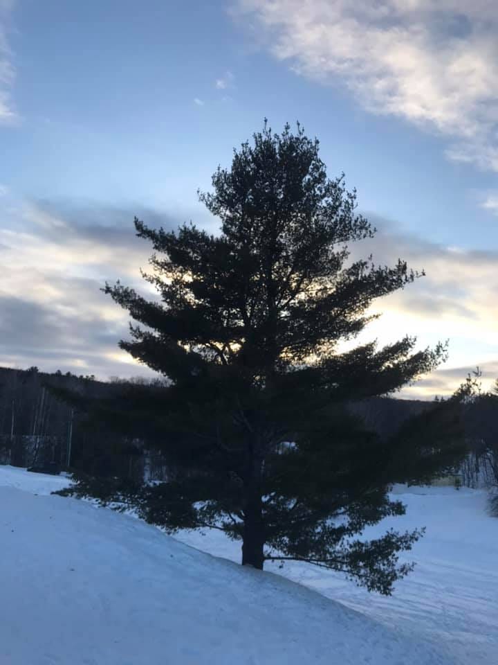 Winter trails in Chelsea Quebec