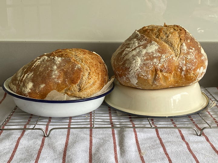 Sourdough in pie tins.