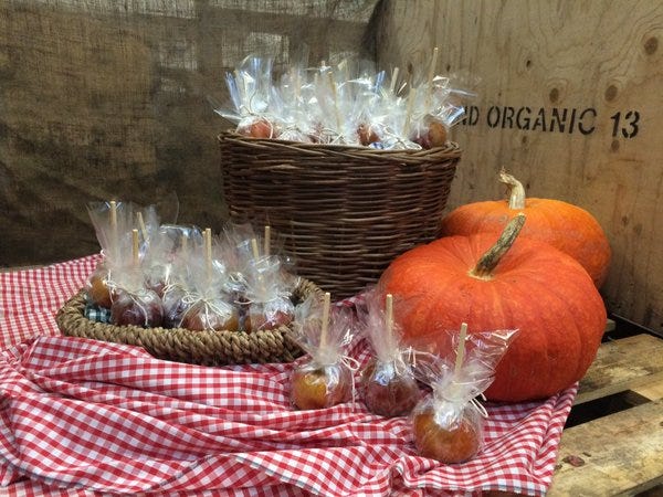 Brambletye Market stall 2010-2015 organic, biodynamic fruit vegetables juice