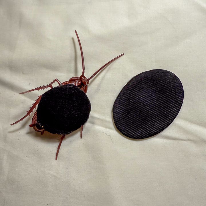 A fake plastic cockroach on a magnetic disk