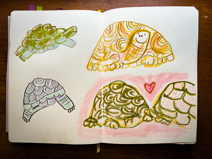 turtle sketches by Beth Spencer
