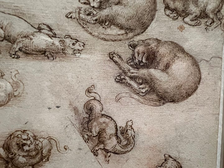 A close-up of Titian's flamingo, which is nearby Leonardo's page filled with cats, lions, and one dragon in the King's Gallery