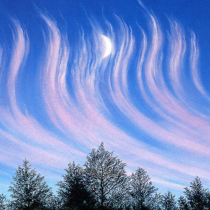 LEFT: Detail from THE GLOAMING featuring treetops in silhouette set against the sky as pink wisps of clouds feather upward. RIGHT: Detail from THE GLOAMING featuring forest background as a transparent sphere containing a single flame illuminates a pocket of foliage. A barely formed figure stares up from ground level.