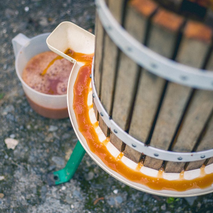 Loading a hand cranked apple press and collecting juice