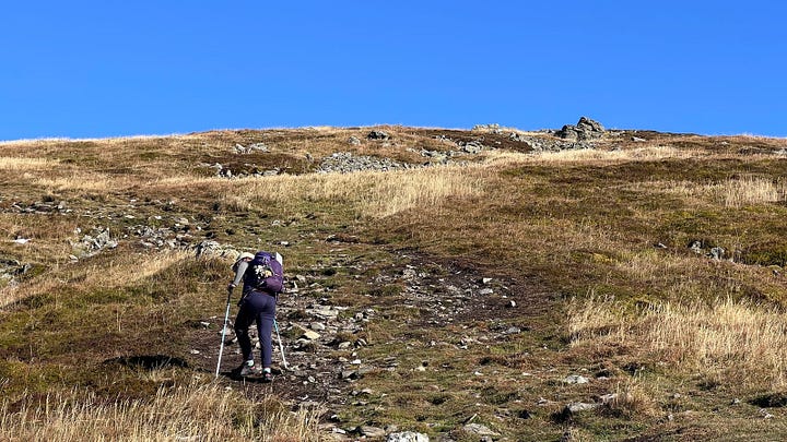 Hiking towards the line of fence posts that would lead us to the summit