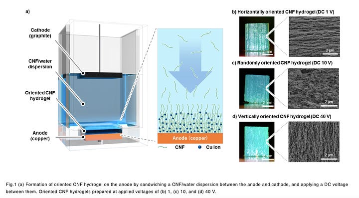 Cellulose Nanofibers as an Alternative to Petroleum-based Plastics