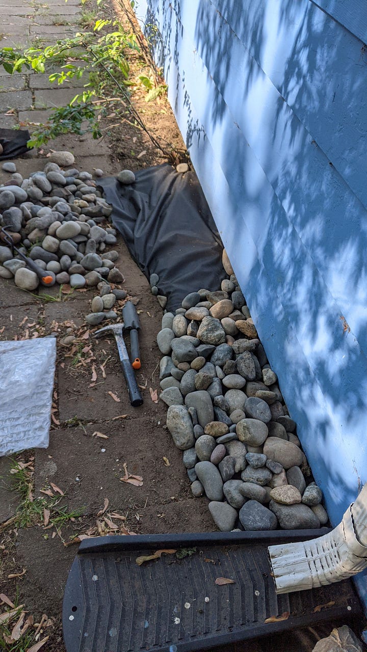 yard landscaping
