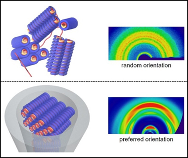 Polymeric Nanomaterials Under Nanoconfinement for the Development of Light-Responsive Electronics