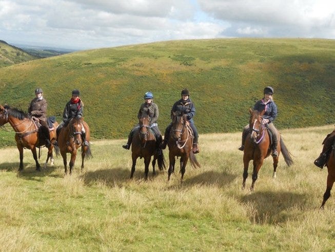 Horse Riding Dartmoor Western Cattle Drive