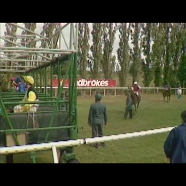 Left: horse racing on Onslow's telly. Right: the same horse racing footage, full frame.