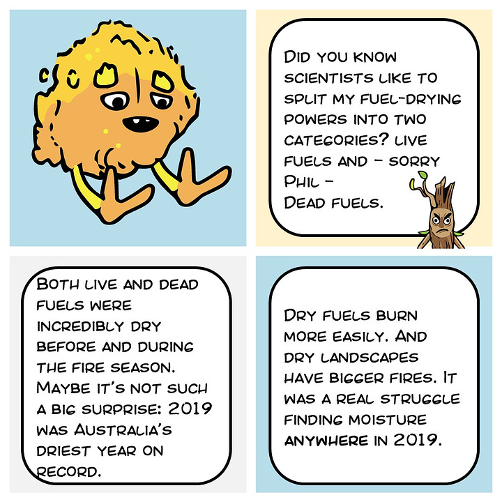 Comic strip about Black Summer fuel dryness