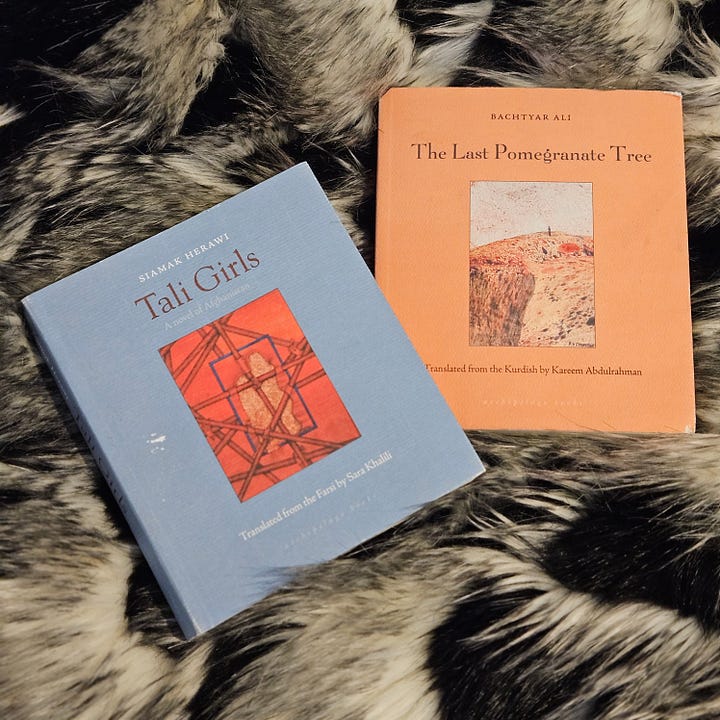 Image 1: Sitt Marie Rose novel by Etel Adnan; Image 2: Tali Girls and The Last Pomegranate Tree novels published by Archipelago Press