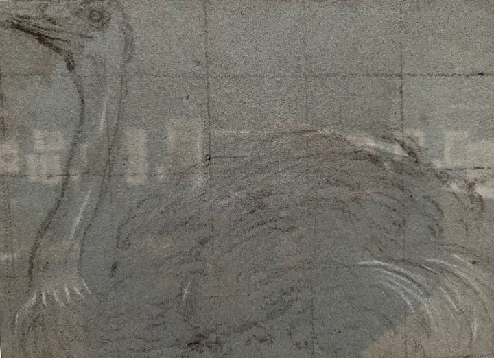 A close-up of Titian's flamingo, which is nearby Leonardo's page filled with cats, lions, and one dragon in the King's Gallery