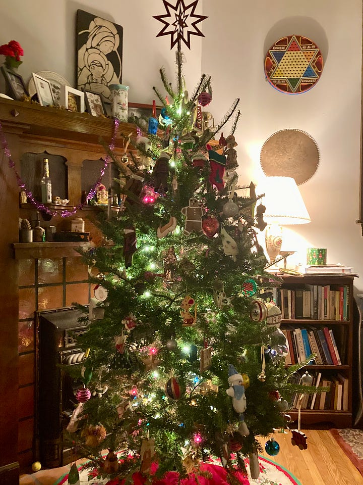 four photographs of a christmas tree, one close up, one with a young man placing the star on the top of the tree, and one of a grey cat playing with a string of lights