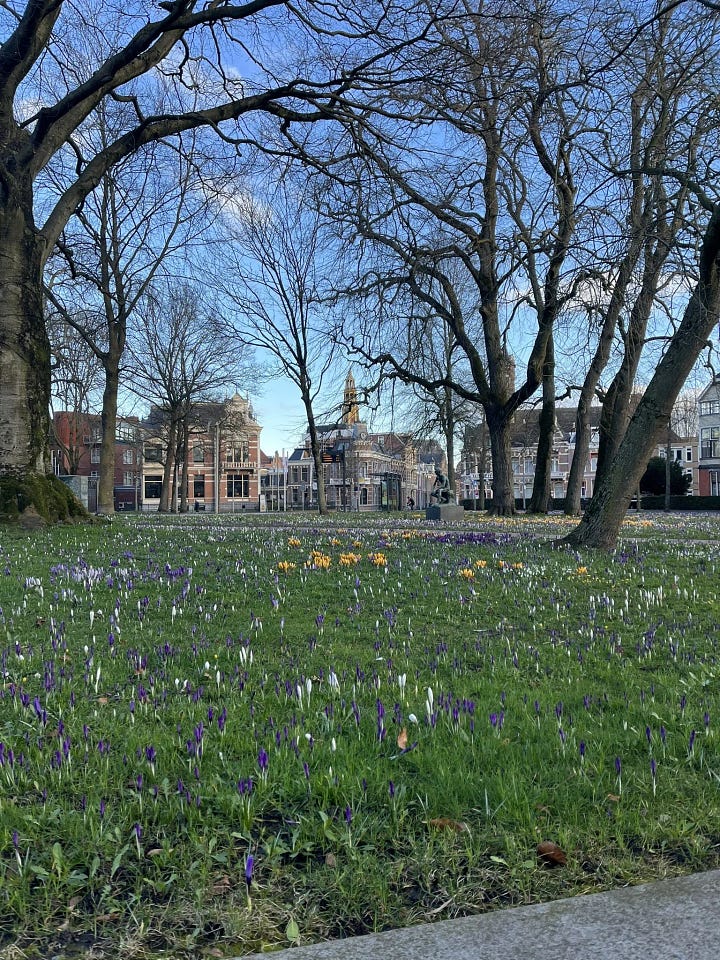 First image shows a lovely view od some greenery in the city centre of Groningen, and the second image offers the route on the map