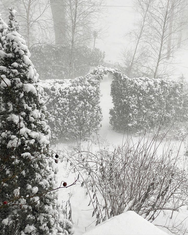 Snowy days, like the ones this week at Havenwood, are good ones for some garden dreaming...