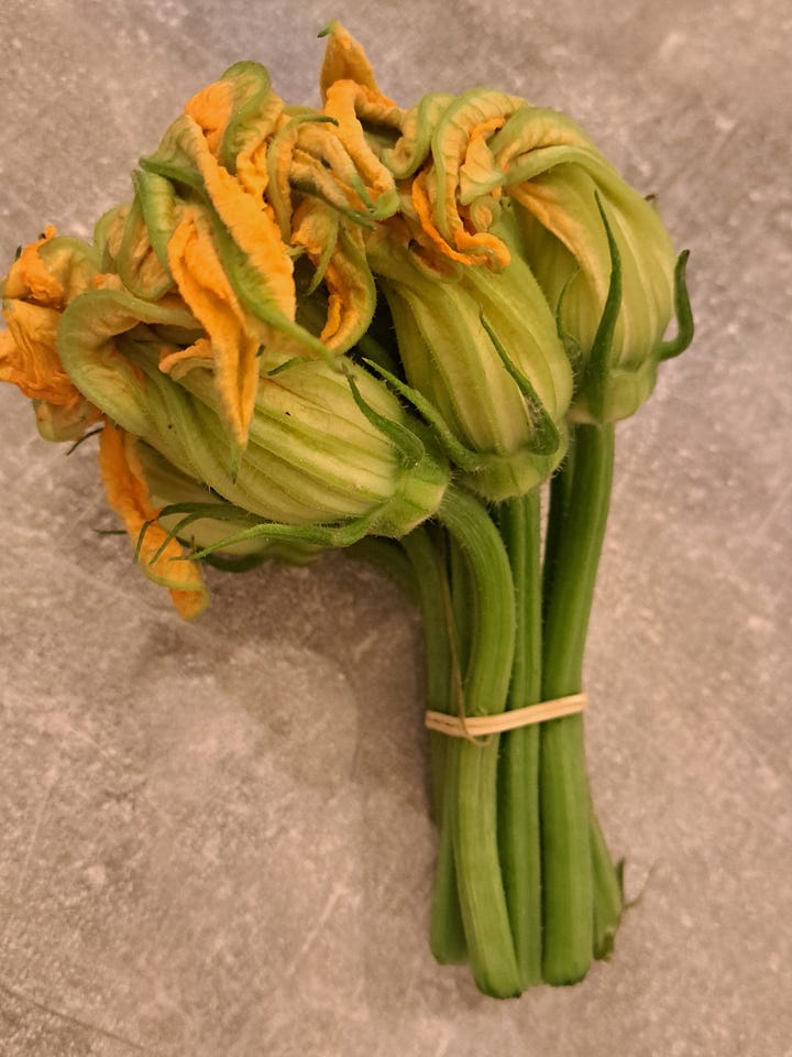 Stuffed courgette flowers