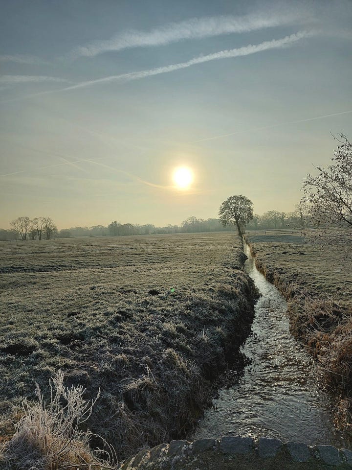 Frozen fields, sun through a milkey veil