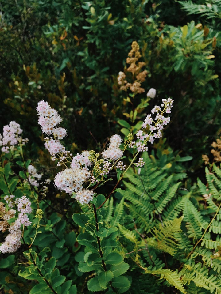 left, an image of white flowers against a background of dark green | right, a hardcover book in dark, grass green 