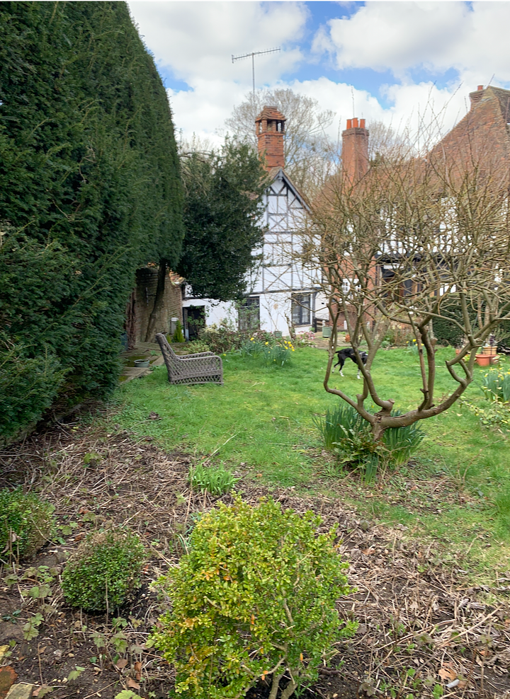 A beamed Tudor cottage in a historic English village