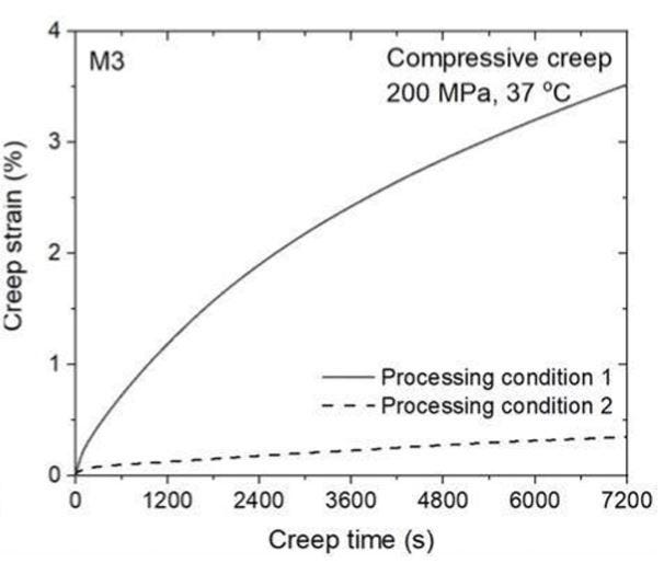 Biodegradable Zinc Alloys and Manufacturing Method