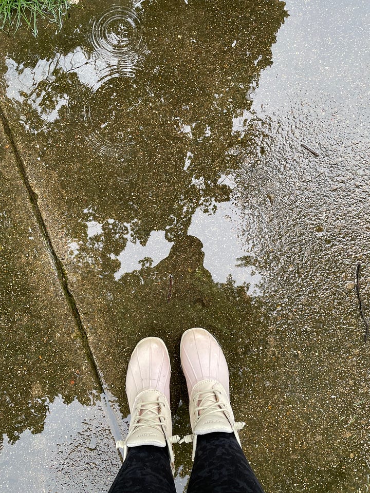 a set of feet in pink boots standing in a puddle while rain falls; a tree lined street view