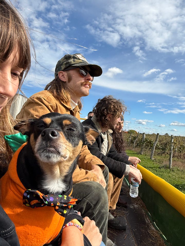 Scenes from a pumpkin patch in Michigan. Casey, Basil, Hayden, Henry and Ellie ride a tractor wagon. The farm owner drives a tractor. The vineyards. Gourds growing on trellises.