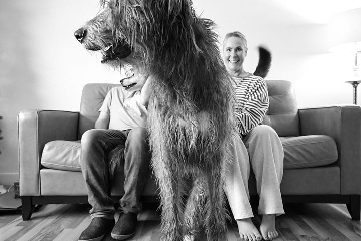 Husband Brad and I create some New years chaos and photos with the dogs in our living room.