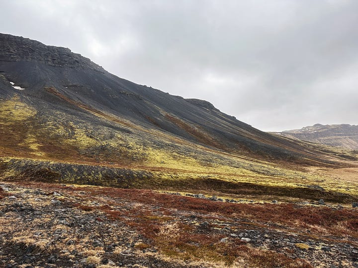 Four images from Rauðfeldsgjá Gorge - clockwise from top left. Ryan in brown pants with a green down jacket standing on rocks ready to enter the second, smaller opening inside the gorge, a close up of the green moss walls and large icicles, the layers of green, gold, black and rusty red color to in the hills next to the gorge, looking up from the streambed inside to the curving opening to the sky above.