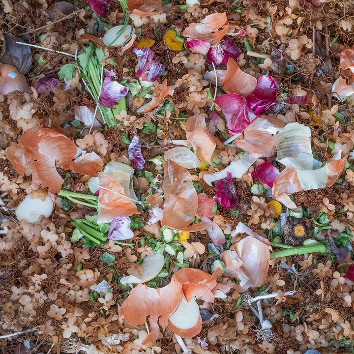 Compost, Thanksgiving, Leaves