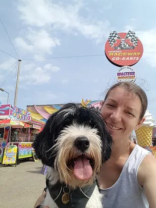 Black and white long-haired dog in various activities