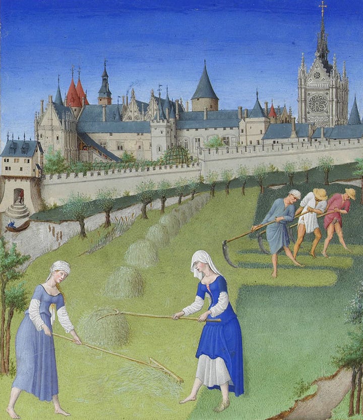 Images of medieval manuscripts illustrating women working in masonry, harvest, and teaching geometry.