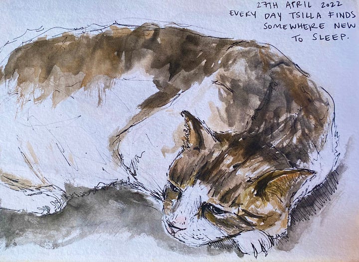 (Left) A watercolour and pen sketch of a cat sleeping with the caption '27th April - Every day Tsilla find somewhere new to sleep'. (Right) Pencil sketch of a dog curled up about to go to sleep.
