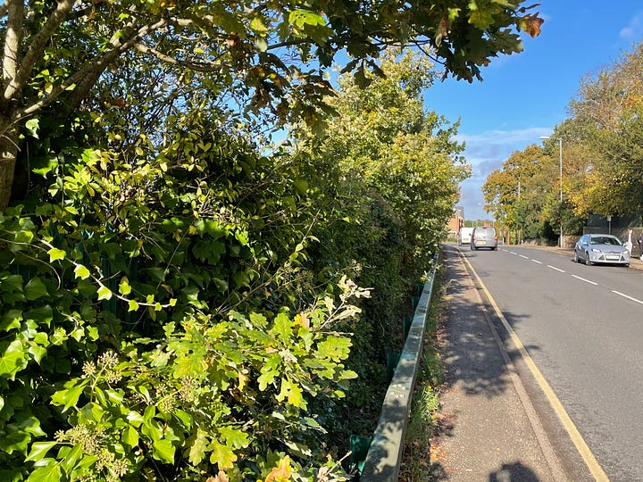 Trees, hedges, and plants on roads and at stations