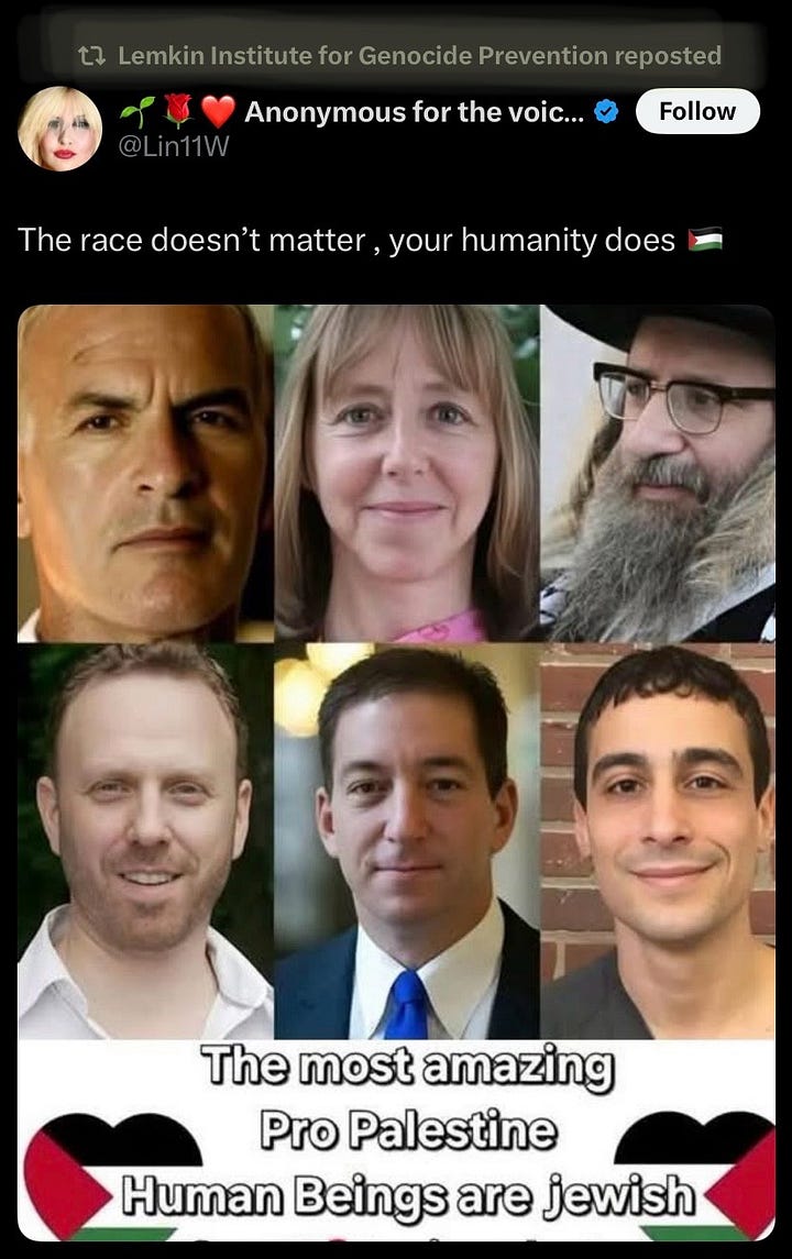 Alt Text (Image 1 — the meme): A meme posted by the X account @Lin11W (display name: “Anonymous for the voiceless”) featuring six white individuals labeled as pro-Palestinian Jews. The text reads: “The most amazing Pro Palestine Human Beings are Jewish,” with Palestinian flag heart graphics on either side. Above the meme, the user writes, “The race doesn’t matter, your humanity does 🇵🇸.” The image centers white Jewish figures as the ideal pro-Palestine voices. Alt Text (Image 2 — comment thread): A screenshot of a Twitter/X thread. Palestinian author Susan Abulhawa replies to someone saying, “These are wonderful people, but you’re wrong. Please stop centering and elevating Jewish voices above the vastly larger number of non-Jewish voices of the people paying with their lives, their livelihoods, their freedoms, their children, their safety, their futures...” Below her, @Lin11W responds by dismissing her plea, insisting that Jews in the West are brave for speaking out and that millions of others do so without retribution, then challenges readers to “show me a western leader who has spoken out? I’ll wait.”