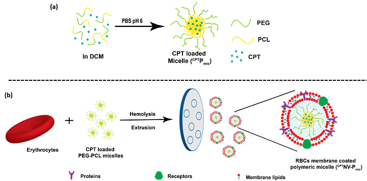 New Drug Delivery Platform Technology