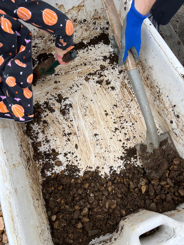 a bamboo cane storage made form a wood pallet, adding compost to plants and transferring to containers, repairing holes in the polytunnel with duct tape