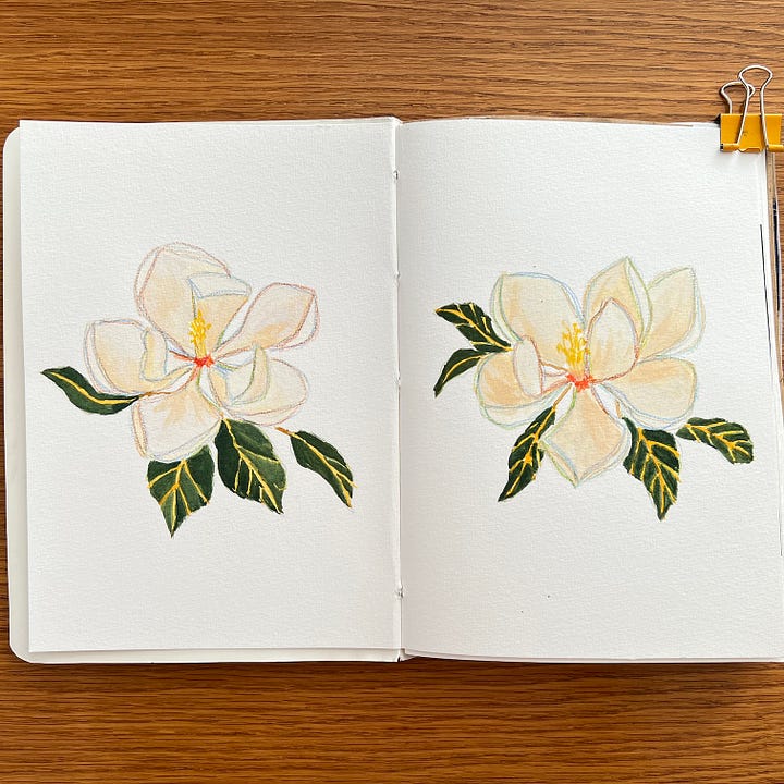 Watercolour magnolias sketches on sketchbook pages