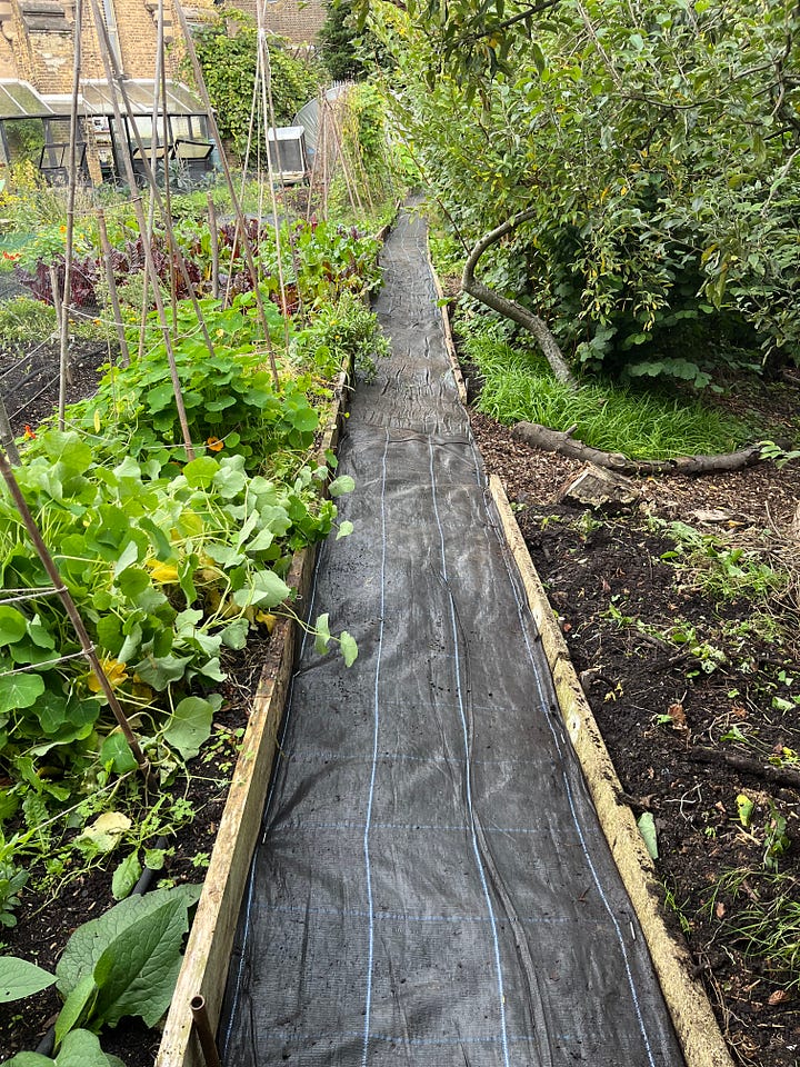 1. The newly sorted long path at the back of the annual veg area; 2. Super mucky knees after a day rolling around on the ground.