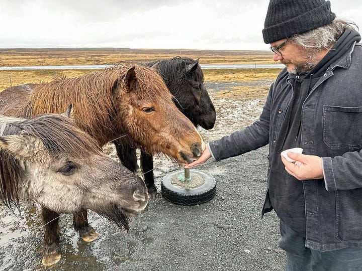 Jeff squints at the solar eclipse while wearing protective glasses; Jeff looks at the camera from a clawfoot bathtub; Jeff smiles with regular- and mini-size copies of the Wilco LP Cousin; Jeff feeds Icelandic horses