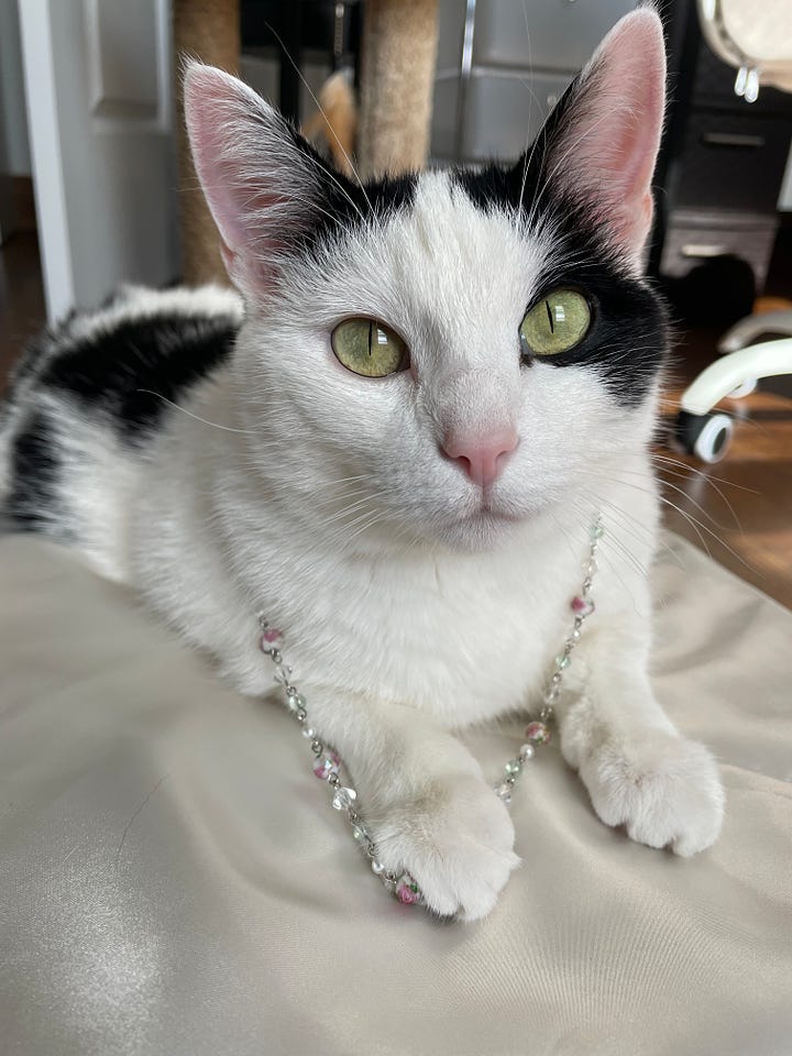 White cat with black spots, green eyes, pink ears and nose wearing a necklace made of pink, green, and white beads. Matching necklace and earring set on white background.