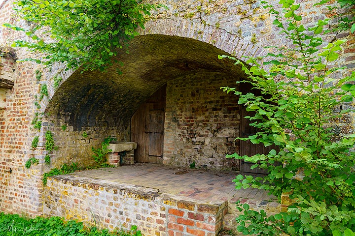 The ruins of the Château des Ducs de Savoie