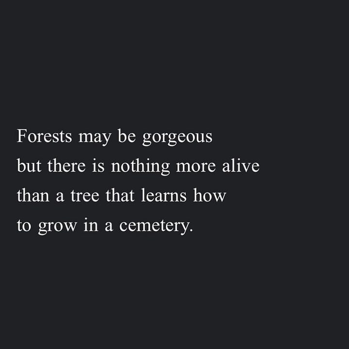 Quote 1: All I know of hate is that it will never beat the love out of me.  Quote 2: Forests may be gorgeous but there is nothing more alive than a tree that learns how to grow in a cemetery. Quote 3: Never forget that it is possible to cry and sing at the top of your lungs at the same time. Quote 4: No one in history has ever been an instrument of change. Each of us is a single key. We are never singing a solo. It is always a harmony.